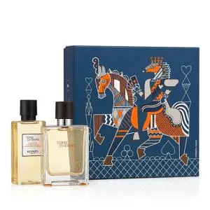 Hermes Terre D'Hermès 50 ml + SG toaletná voda pre mužov