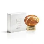 Hidden Shades parfumovaná voda unisex 75 ml
