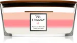 Trilogy Blooming Orchard vonná sviečka s dreveným knôtom 453,6 g