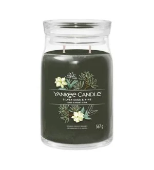 Yankee Candle Silver Sage & Pine signature sviečka veľká 567 g