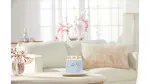 Clean Cotton signature sviečka stredná 368 g