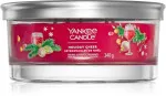 Holiday Cheer signature tumbler 5 knotov 340 g