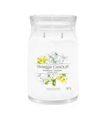Midnight Jasmine signature sviečka veľká 567 g