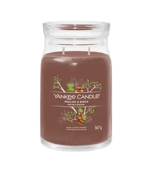 Yankee Candle Praline & Birch signature sviečka veľká 567 g