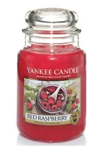 Yankee Candle Spun Sugar Flurries votívna sviečka v skle 3 x 37 g