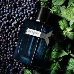 Y Intense parfumovaná voda pre mužov 60 ml