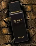 Vigour EXP U 100 ml