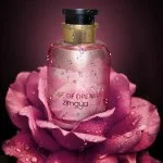 Rose of Dreams W parfémovaná voda 100 ml