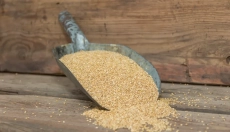 Zdravie a ekológia idú ruka v ruke s cirokom