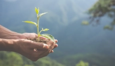 Co to je greenwashing a jak ho rozpoznat