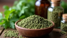 Ako správne používať semienka žihľavy pre vaše zdravie