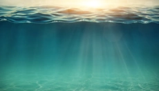 Objavte prírodný poklad v podobe morskej plazmy