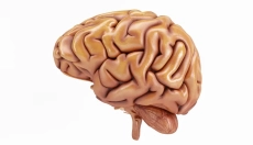 Nootropika: Ako zlepšiť mozog a žiť naplno?